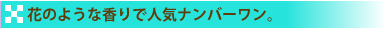 �֤Τ褦�ʹ��ǿ͵��ʥ�С����